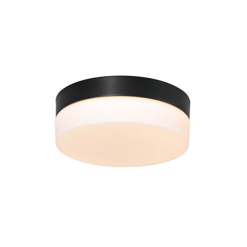Steinhauer Ikaro Taklampa LED Svart, 1-ljuskällor main product photo