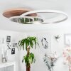 Blandford Taklampa LED Naturfärger, Nickel matt, Silver, 1-ljuskällor, Fjärrkontroll