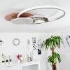 Blandford Taklampa LED Naturfärger, Nickel matt, Silver, 1-ljuskällor, Fjärrkontroll