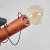 Burruyaco Taklampa Grått, Naturfärger, 4-ljuskällor