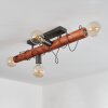 Burruyaco Taklampa Grått, Naturfärger, 4-ljuskällor