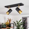 Campanas Taklampa, Takstrålkastare Mässing, Svart, 2-ljuskällor