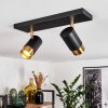 Campanas Taklampa, Takstrålkastare Mässing, Svart, 2-ljuskällor
