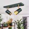 Campanas Taklampa, Takstrålkastare Grön, Mässing, 2-ljuskällor