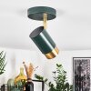 Campanas Taklampa, Takstrålkastare Grön, Mässing, 1-ljuskällor