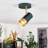 Campanas Taklampa, Takstrålkastare Grön, Mässing, 1-ljuskällor