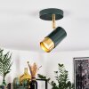 Campanas Taklampa, Takstrålkastare Grön, Mässing, 1-ljuskällor