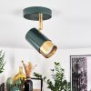 Campanas Taklampa, Takstrålkastare Grön, Mässing, 1-ljuskällor