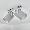Puelches Taklampa, Takstrålkastare Nickel matt, 2-ljuskällor