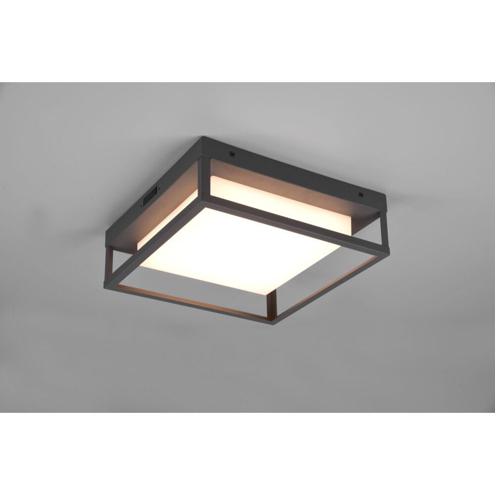 Trio Lampor Witham Taklampa LED Antracit, 1-ljuskällor main product photo