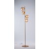 Luce Design NEPTUN Golvlampa Mässing, 4-ljuskällor