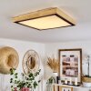 Corinto Taklampa, Panel LED Naturfärger, Svart, 1-ljuskällor