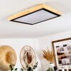 Corinto Taklampa, Panel LED Naturfärger, Svart, 1-ljuskällor