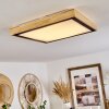 Corinto Taklampa, Panel LED Naturfärger, Svart, 1-ljuskällor