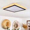 Corinto Taklampa, Panel LED Naturfärger, Svart, 1-ljuskällor
