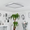 Wilderswil  Taklampa, Panel LED Vit, 1-ljuskällor