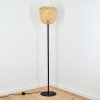 Solera Golvlampa Svart, 1-ljuskällor