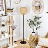 Solera Golvlampa Svart, 1-ljuskällor