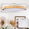 Corinto Taklampa LED Naturfärger, Svart, 1-ljuskällor