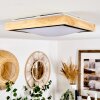Corinto Taklampa LED Naturfärger, Svart, 1-ljuskällor