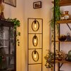 Assiniboia Golvlampa Svart, 3-ljuskällor