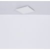 Globo SAPANA Taklampa, Panel LED Vit, 1-ljuskällor