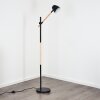 Tanabita Golvlampa Naturfärger, Svart, 1-ljuskällor
