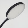 Haltia Golvlampa, Läslampa LED Svart, 1-ljuskällor
