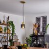Vuoltu Pendellampa Guld, 1-ljuskällor