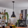 Tallaa Pendellampa Svart, 1-ljuskällor