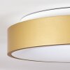 Playas Taklampa LED Guld, Vit, 1-ljuskällor