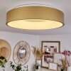 Playas Taklampa LED Guld, Vit, 1-ljuskällor