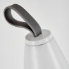 Yari Bordslampa utomhus LED Grått, Genomskinlig, klar, Vit, 1-ljuskällor, Fjärrkontroll, Färgväxlare