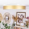 Playas Taklampa LED Guld, Vit, 1-ljuskällor