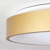 Playas Taklampa LED Guld, Vit, 1-ljuskällor