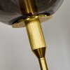 Berle Golvlampa Guld, 1-ljuskällor