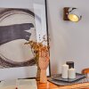 Herford Vägglampa, Väggspotlight Trä mörkt, 1-ljuskällor