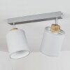 Chiuvi Taklampa, Takstrålkastare Naturfärger, Silver, 2-ljuskällor