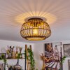 Combeima Taklampa Svart, 1-ljuskällor