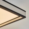 Nabbas Taklampa, Panel LED Svart, 1-ljuskällor