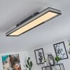 Nabbas Taklampa, Panel LED Svart, 1-ljuskällor