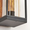 Palanga vägglampa utomhus Amber, 1-ljuskällor