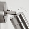 Corneda vägglampa utomhus Färg i rostfritt stål, 1-ljuskällor