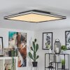 Nabbas Taklampa, Panel LED Svart, Vit, 1-ljuskällor