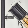 Bardhaman Golvlampa Svart, 3-ljuskällor