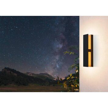 Eglo Lampor COSTORIO Taklampa för utomhusbruk, Taklampa LED träoptik, Svart, 1-ljuskällor