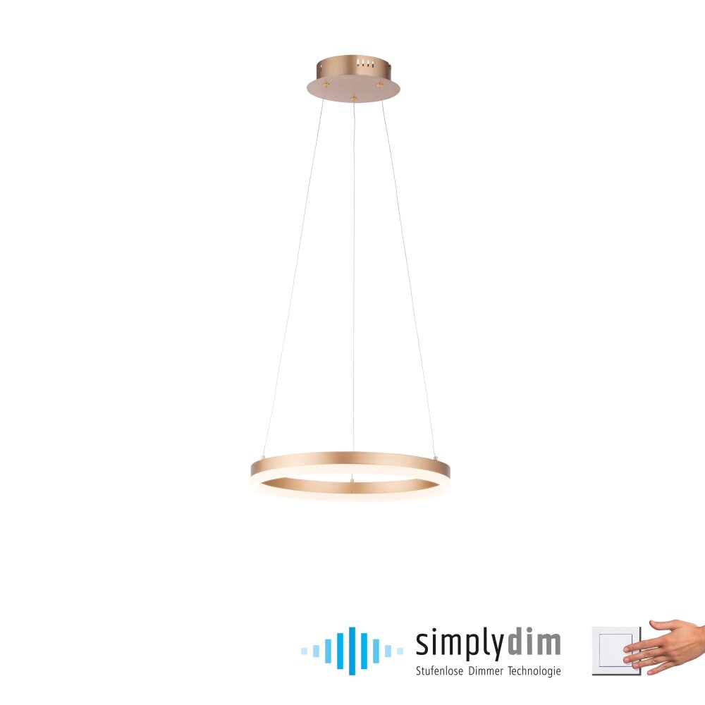 Paul Neuhaus Lampor TITUS Pendelbelysning LED Mässing, 1-ljuskällor main product photo