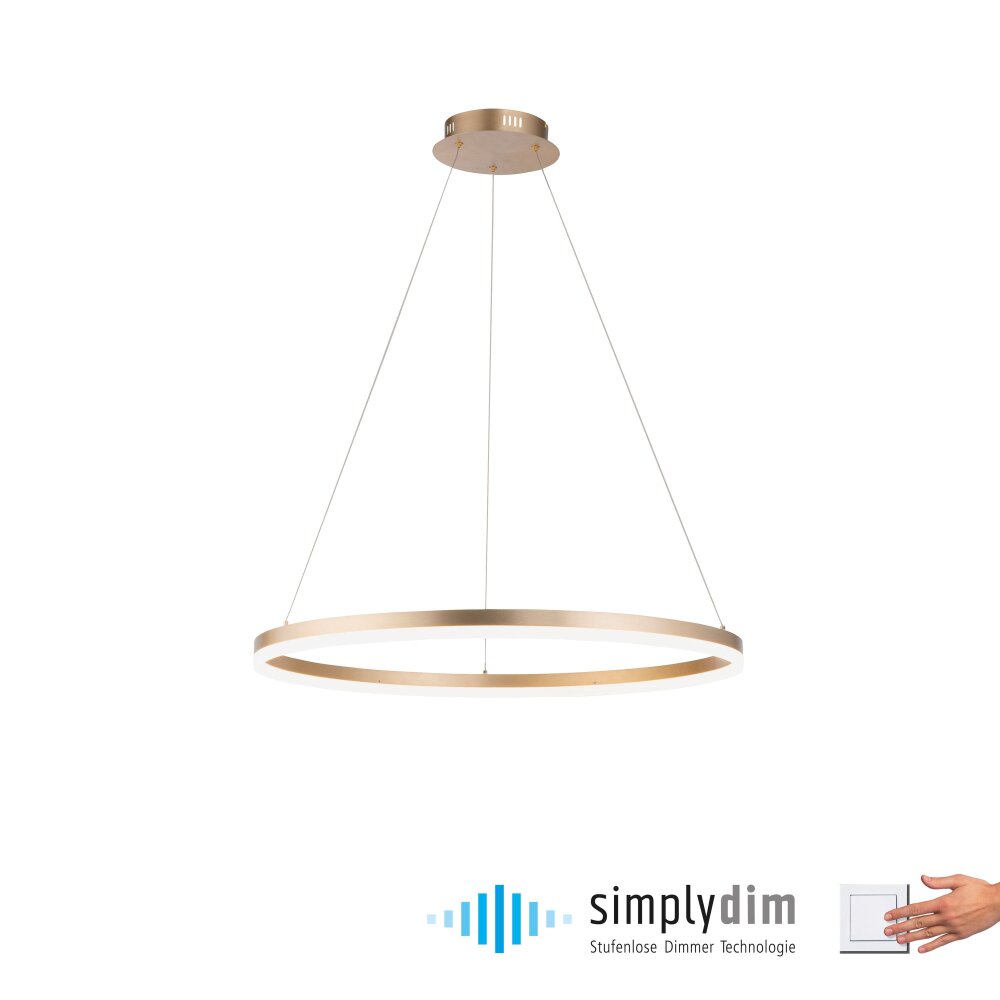 Paul Neuhaus TITUS Pendelbelysning LED Mässing, 1-ljuskällor main product photo