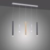 Paul Neuhaus Lampor PURE-GEMIN Pendelbelysning LED Aluminium, Mässing, Svart, 5-ljuskällor