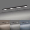 Paul Neuhaus Lampor PURE-LINES Taklampa LED Antracit, 1-ljuskällor, Fjärrkontroll